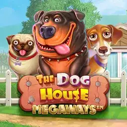 The Dog House Megaways game at Joo Casino for Australian players