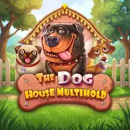 The Dog House Multihold game at Joo Casino for Australian players